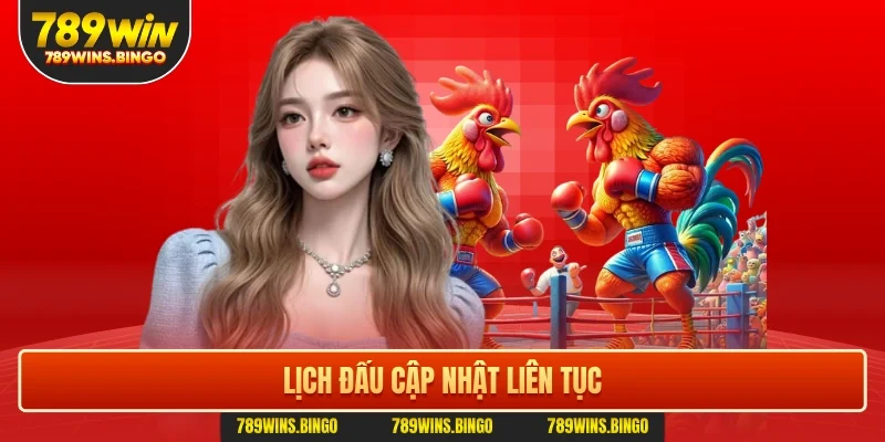 Lịch đấu cập nhật liên tục